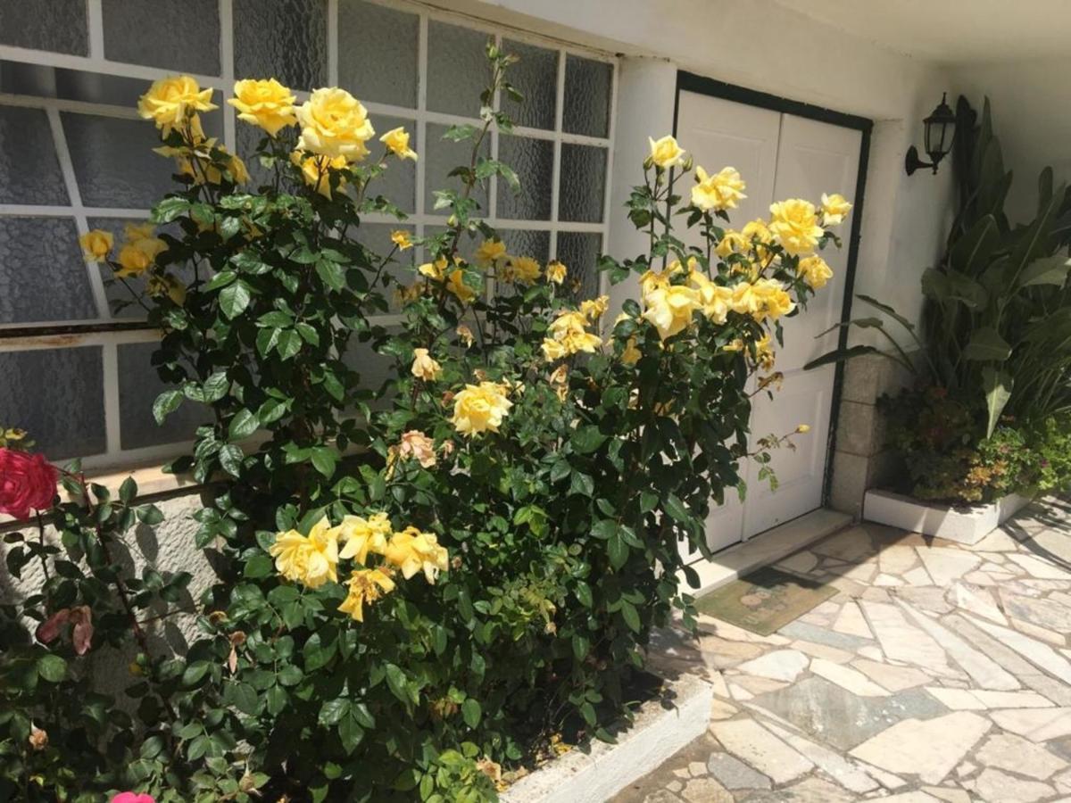 2 Bedroom Apartment House - Sol Do Murtal Parede Exterior photo